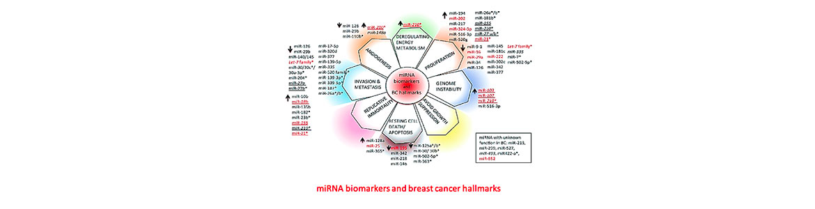 miRNA-biomarkers
